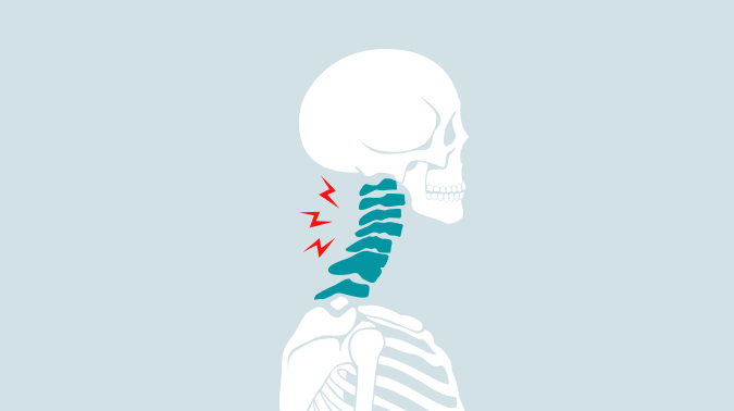 부산일자목, 부산거북목
